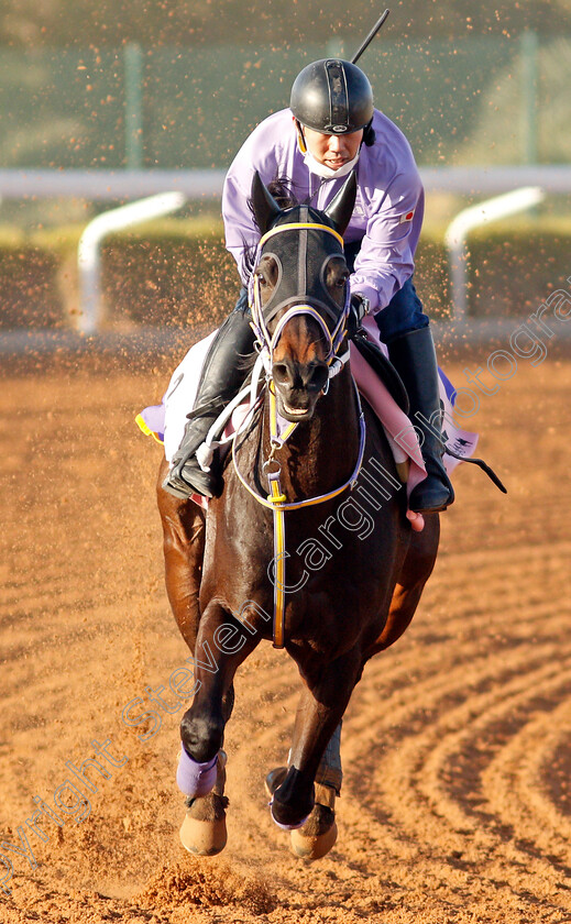 Copano-Kicking-0001 
 COPANO KICKING training for The Dirt Sprint
King Abdulaziz Racetrack, Riyadh, Saudi Arabia 22 Feb 2022 - Pic Steven Cargill / Racingfotos.com