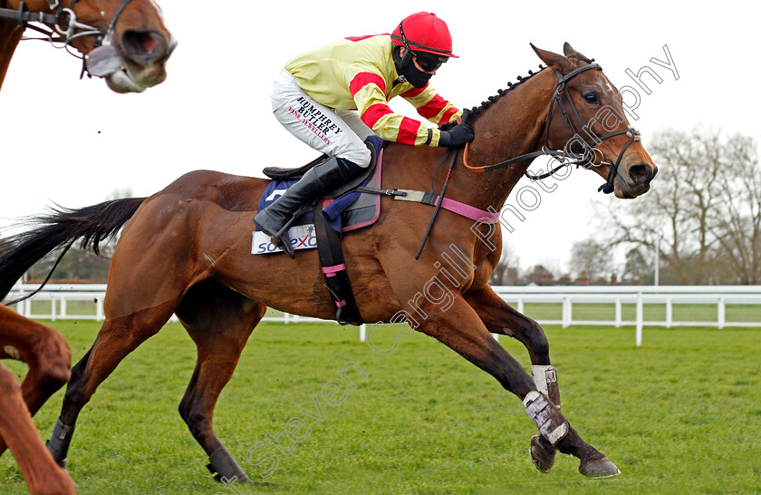 Demachine-0001 
 DEMACHINE (Richard Patrick)
Ascot 20 Feb 2021 - Pic Steven Cargill / Racingfotos.com