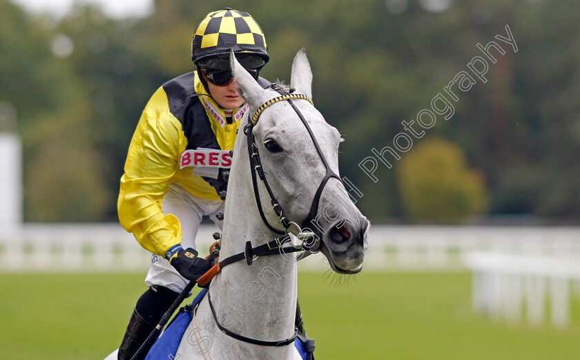 Gumball-0001 
 GUMBALL (Hollie Doyle)
Ascot 30 Sep 2022 - Pic Steven Cargill / Racingfotos.com