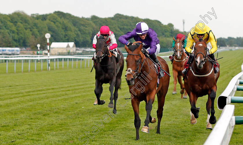 Caio-Shark-0003 
 CAIO SHARK (centre, James Doyle) beats NEAT AND DANDY (right) in The British Stallion Studs EBF Novice Stakes
Haydock 28 May 2021 - Pic Steven Cargill / Racingfotos.com