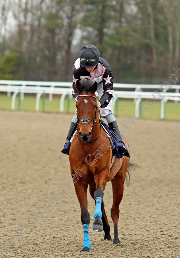 Lazarus-0001 
 LAZARUS (Kieran Shoemark) Lingfield 20 Dec 2017 - Pic Steven Cargill / Racingfotos.com