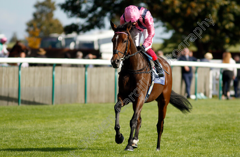 Sweet-Memories-0001 
 SWEET MEMORIES (Frankie Dettori)
Newmarket 29 Sep 2023 - Pic Steven Cargill / Racingfotos.com