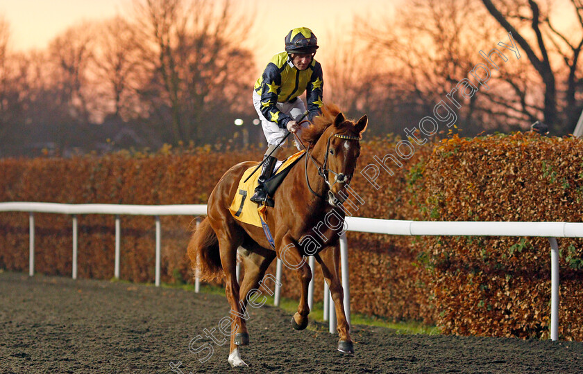 Surrey-Flame-0001 
 SURREY FLAME (Liam Keniry)
Kempton 4 Dec 2019 - Pic Steven Cargill / Racingfotos.com