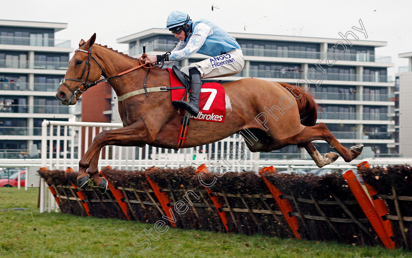 Jaleo-0001 
 JALEO (Alex Ferguson) Newbury 2 Sep 2017 - Pic Steven Cargill / Racingfotos.com