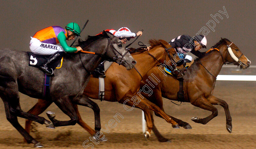 Miracle-Works-0005 
 MIRACLE WORKS (left, Tom Marquand) beats WARRIOR'S VALLEY (right) and JACK THE TRUTH (centre) in The Bet toteexacta At totesport.com Handicap
Chelmsford 22 Feb 2019 - Pic Steven Cargill / Racingfotos.com