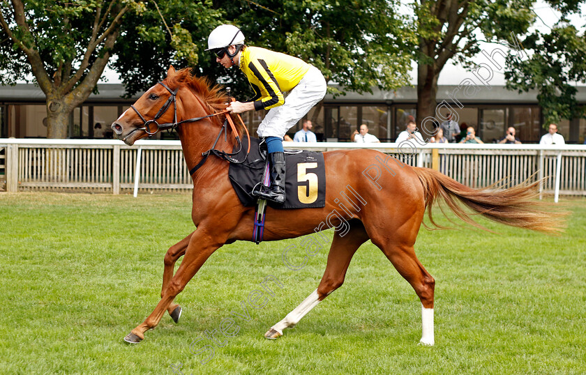 Emily-Bell 
 EMILY BELL (Callum Shepherd)
Newmarket 30th July 2022 - Pic Steven Cargill / Racingfotos.com