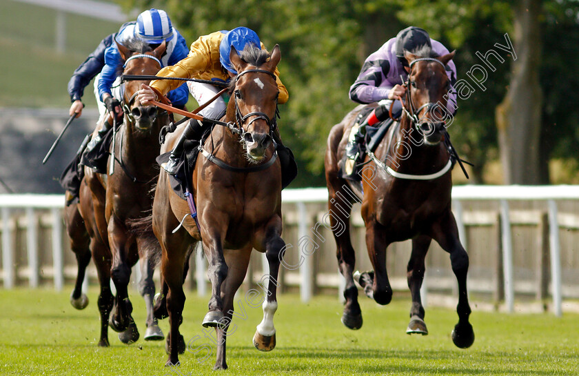 Mark-Of-Respect-0002 
 MARK OF RESPECT (Rossa Ryan) wins The Rich Energy Handicap
Newmarket 25 Jun 2021 - Pic Steven Cargill / Racingfotos.com