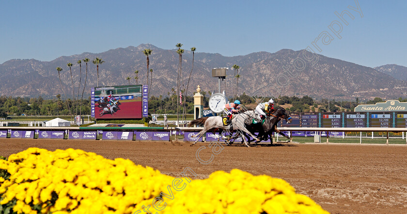 Santa-Anita-0003 
 Racing at Santa Anita
Santa Anta, USA 31 Oct 2019 - Pic Steven Cargill / Racingfotos.com