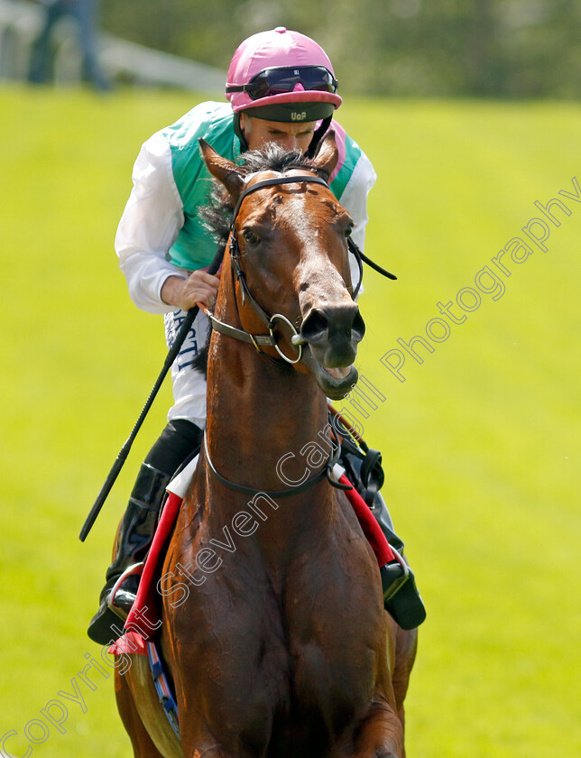 Starlore-0009 
 STARLORE (Ryan Moore) winner of The Irish Stallion Farms EBF Novice Stakes
Sandown 7 Jul 2023 - Pic Steven Cargill / Racingfotos.com