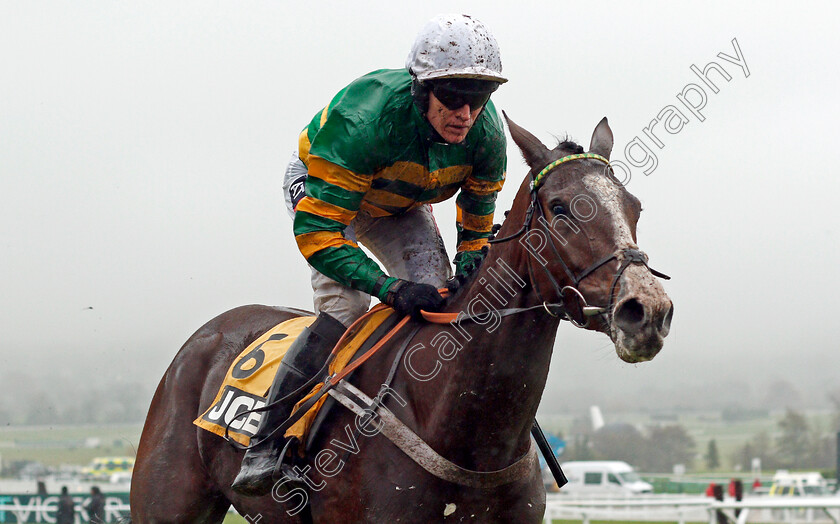 Apple s-Shakira-0005 
 APPLE'S SHAKIRA (Barry Geraghty) wins The JCB Triumph Trial Juvenile Hurdle Cheltenham 18 Nov 2017 - Pic Steven Cargill / Racingfotos.com