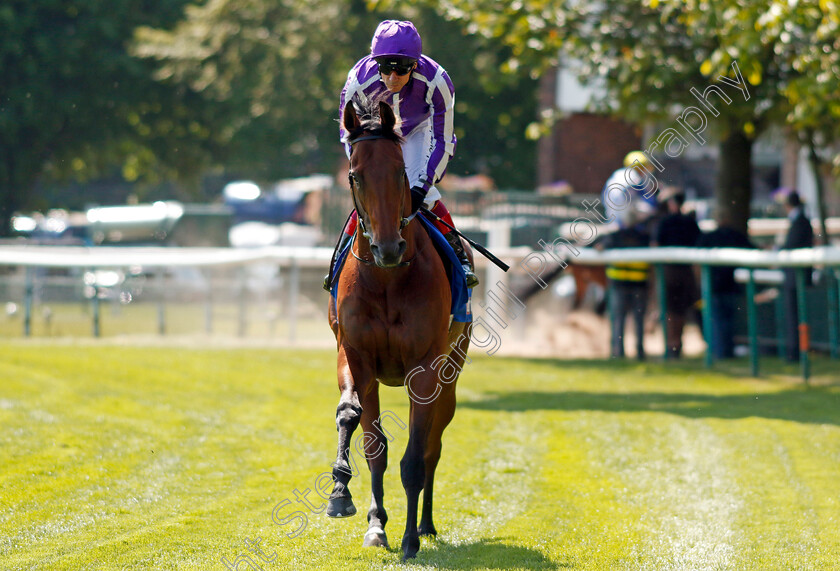 Little-Big-Bear-0015 
 LITTLE BIG BEAR (Frankie Dettori) winner of The Betfred Nifty Fifty Sandy Lane Stakes
Haydock 27 May 2023 - Pic Steven Cargill / Racingfotos.com