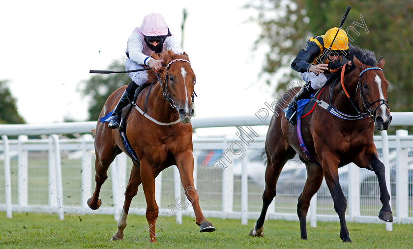 Apollo-One-0004 
 APOLLO ONE (left, Martin Harley) beats WHENTHEDEALINSDONE (right) in The Weatherbys TBA Conditions Stakes
Salisbury 1 Oct 2020 - Pic Steven Cargill / Racingfotos.com