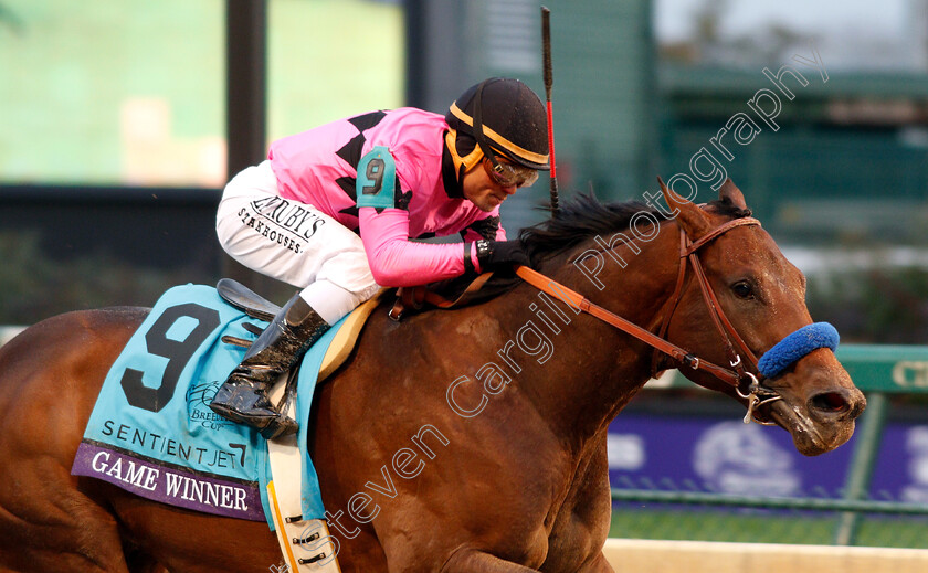 Game-Winner-0002 
 GAME WINNER (Joel Rosario) wins The Breeders' Cup Juvenile
Churchill Downs 2 Nov 2018 - Pic Steven Cargill / Racingfotos.com