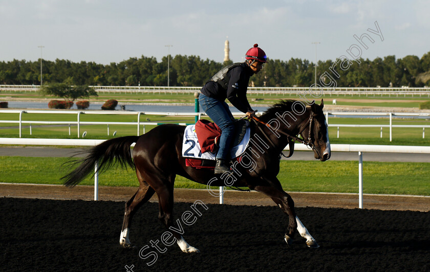 Sky-Hawk-0001 
 SKY HAWK training at the Dubai Racing Carnival 
Meydan 2 Jan 2025 - Pic Steven Cargill / Racingfotos.com