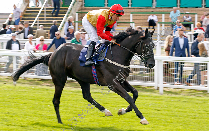 Abravaggio-0001 
 ABRAVAGGIO (John Egan)
Yarmouth 13 Sep 2022 - Pic Steven Cargill / Racingfotos.com