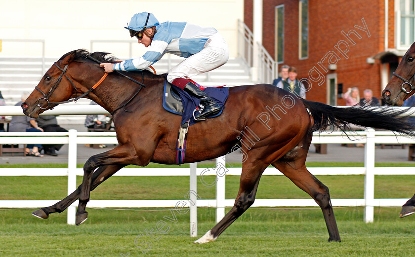 Patient-Dream-0007 
 PATIENT DREAM (Rob Hornby) wins The Betway British Stallion Studs EBF Novice Median Auction Stakes Div2
Lingfield 26 Aug 2020 - Pic Steven Cargill / Racingfotos.com