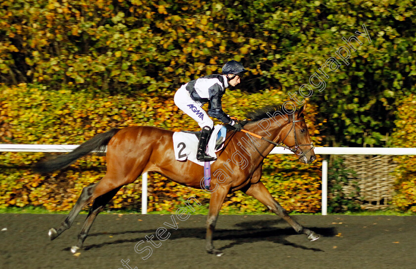 Bauhinia-Rhapsody-0001 
 BAUHINIA RHAPSODY (Luke Morris)
Kempton 16 Nov 2022 - Pic Steven Cargill / Racingfotos.com