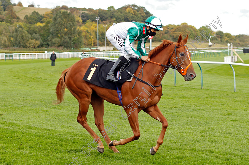 Luxy-Lou-0001 
 LUXY LOU (Sean Levey)
Nottingham 14 Oct 2020 - Pic Steven Cargill / Racingfotos.com