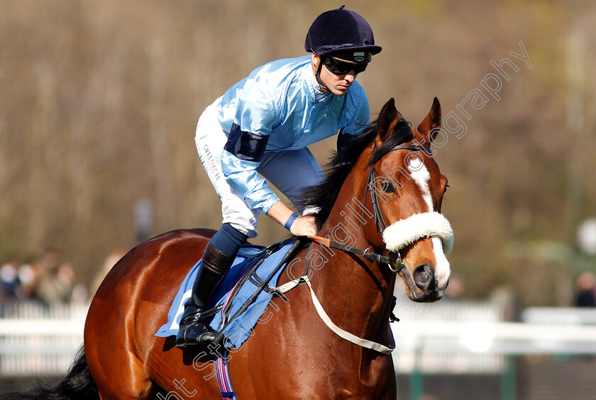 Knighted-0001 
 KNIGHTED (Kevin Stott)
Nottingham 10 Apr 2019 - Pic Steven Cargill / Racingfotos.com