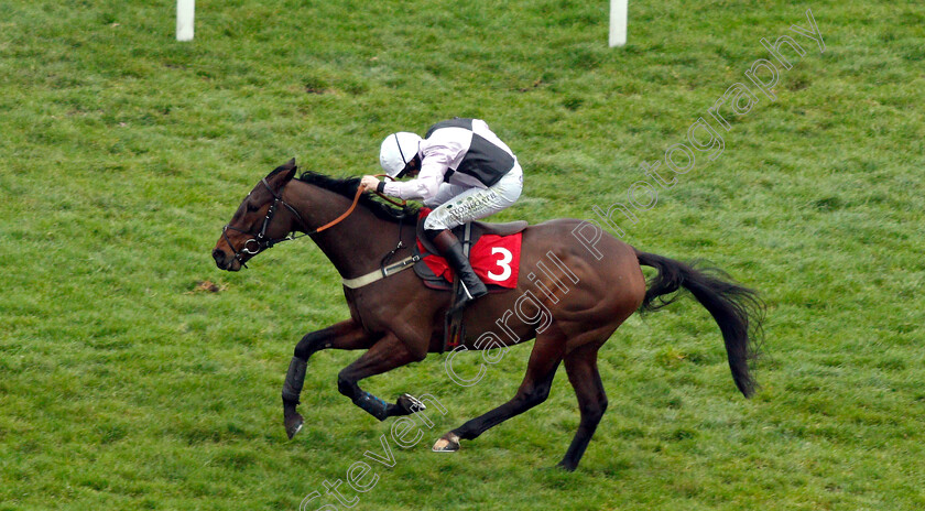 Larry-0003 
 LARRY (Jamie Moore) wins The 32Red Handicap Chase
Sandown 5 Jan 2019 - Pic Steven Cargill / Racingfotos.com