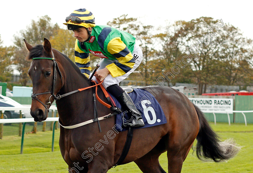 Giving-Glances-0001 
 GIVING GLANCES (Martin Harley) Yarmouth 24 Oct 2017 - Pic Steven Cargill / Racingfotos.com