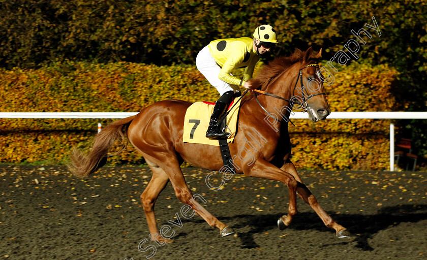 Matsuri-0007 
 MATSURI (Jack Mitchell) winner of The Unibet Zero% Mission British Stallion Studs EBF Fillies Novice Stakes Div2
Kempton 15 Nov 2023 - Pic Steven Cargill / Racingfotos.com