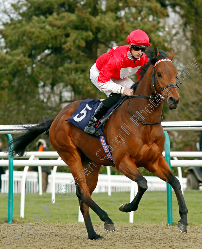 Photosynthesis-0006 
 PHOTOSYNTHESIS (Jack Mitchell) winner of The Boost Your Acca At Betmgm Handicap
Lingfield 20 Jan 2024 - Pic Steven Cargill / Racingfotos.com