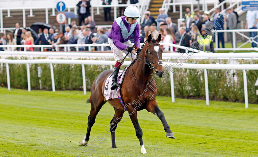 Galactic-Jack-0002 
 GALACTIC JACK (Oisin Murphy)
Chester 10 May 2023 - pic Steven Cargill / Racingfotos.com