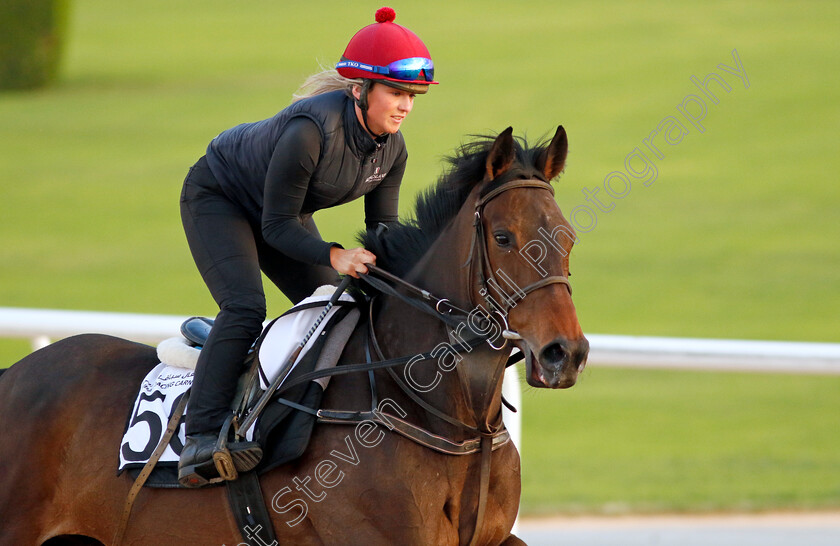 Trevaunance-0002 
 TREVAUNANCE training at the Dubai Racing Carnival
Meydan 1 Mar 2024 - Pic Steven Cargill / Racingfotos.com