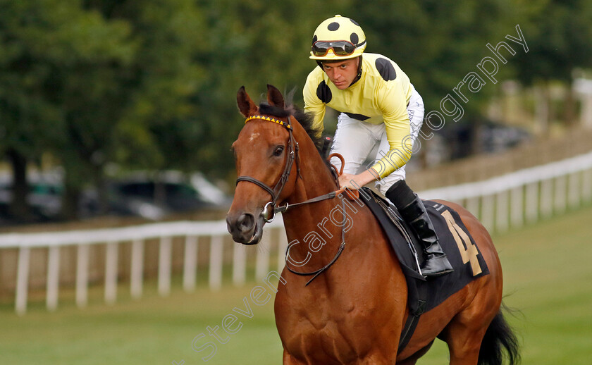 Open-Champion-0003 
 OPEN CHAMPION (Ray Dawson)
Newmarket 22 Jul 2022 - Pic Steven Cargill / Racingfotos.com