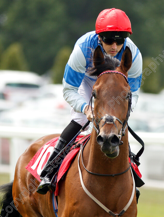 Dukeofwallingford-0002 
 DUKEOFWALLINGFORD (Martin Harley)
Sandown 15 Jun 2018 - Pic Steven Cargill / Racingfotos.com