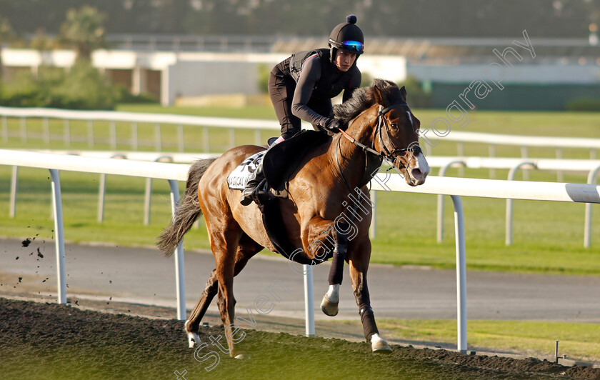 Magical-Morning-0001 
 MAGICAL MORNING training at the Dubai World Cup Carnival
Meydan 5 Jan 2023 - Pic Steven Cargill / Racingfotos.com