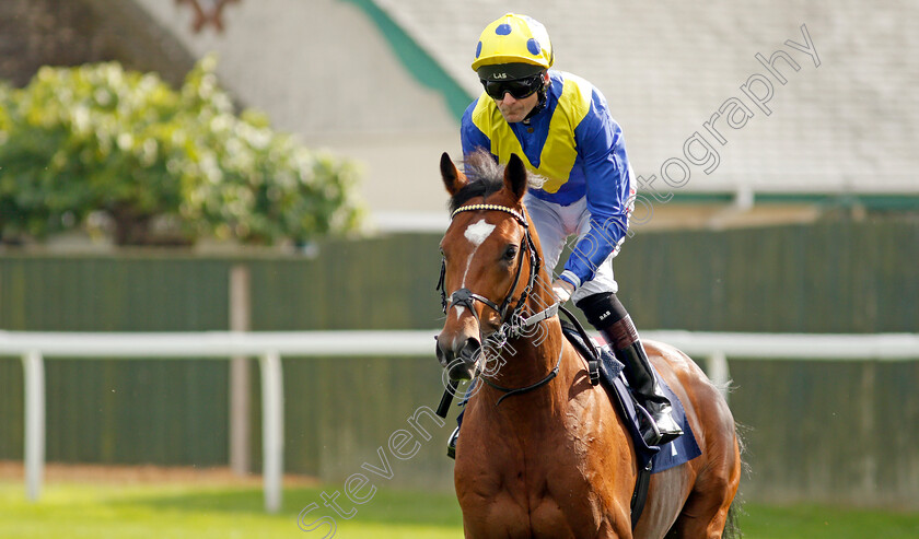 Mighty-Ulysses-0001 
 MIGHTY ULYSEES (Robert Havlin) winner of The British Stallion Studs EBF Maiden Stakes
Yarmouth 16 Sep 2021 - Pic Steven Cargill / Racingfotos.com