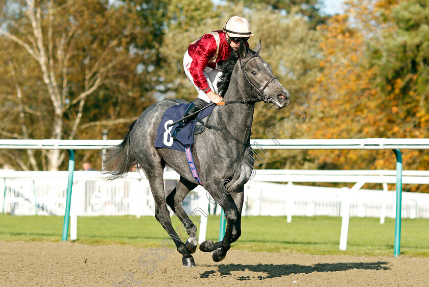 Roman-Mist 
 ROMAN MIST (Tom Marquand)
Lingfield 28 Oct 2021 - Pic Steven Cargill / Raingfotos.com