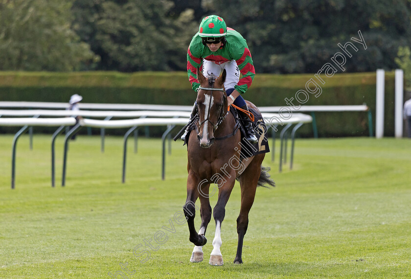 Focus-On-Zaam-0001 
 FOCUS ON ZAAM (Connor Murtagh)
Nottingham 19 Jul 2024 - Pic Steven Cargill / Megan Dent / Racingfotos.com