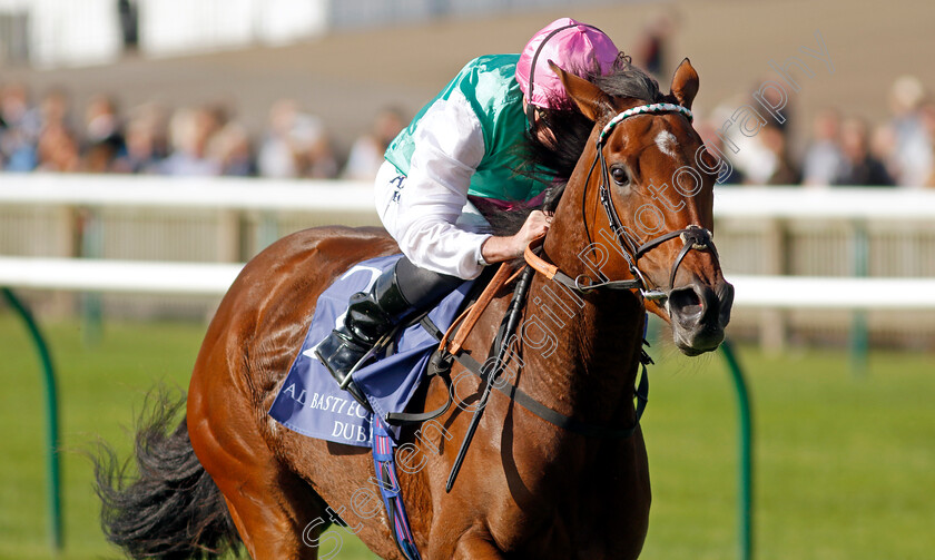 Time-Lock-0002 
 TIME LOCK (Ryan Moore) wins The Princess Royal Al Basti Equiworld Dubai Stakes
Newmarket 29 Sep 2023 - Pic Steven Cargill / Racingfotos.com