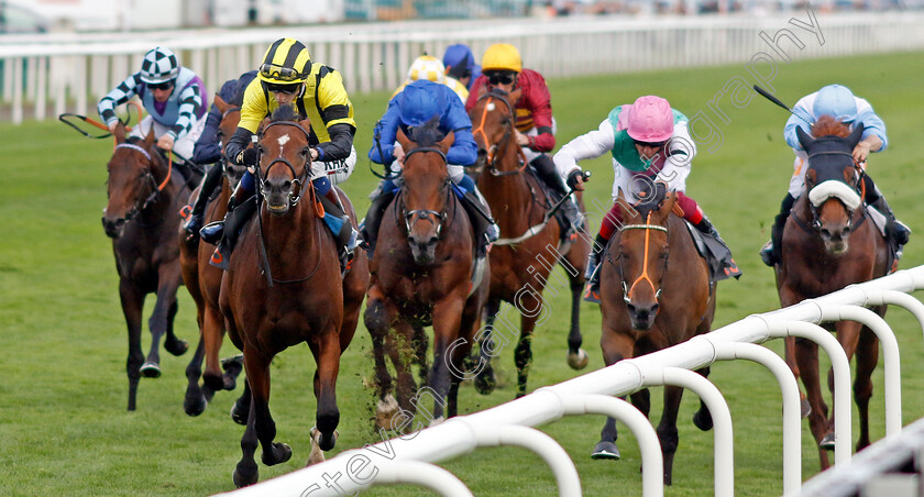 Eldar-Eldarov-0010 
 ELDAR ELDAROV (David Egan) wins The Cazoo St Leger Stakes
Doncaster 11 Sep 2022 - Pic Steven Cargill / Racingfotos.com