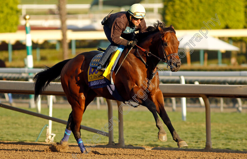 Arabian-Knight-0005 
 ARABIAN KNIGHT training for The Breeders' Cup Classic
Santa Anita USA, 30 Oct 2023 - Pic Steven Cargill / Racingfotos.com