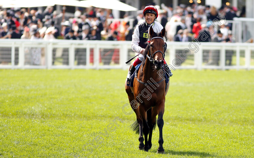 Star-Catcher-0009 
 STAR CATCHER (Frankie Dettori) after The Ribblesdale Stakes
Royal Ascot 20 Jun 2019 - Pic Steven Cargill / Racingfotos.com