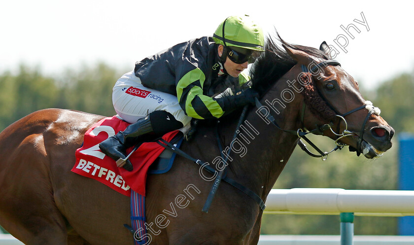 Solent-Gateway-0002 
 SOLENT GATEWAY (Hollie Doyle) wins The Betfred TV Hell Nook Handicap
Haydock 27 May 2023 - pic Steven Cargill / Racingfotos.com