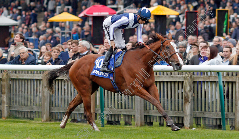 Feliciana-De-Vega-0003 
 FELICIANA DE VEGA (Harry Bentley) wins The Darley Stakes
Newmarket 12 Oct 2019 - Pic Steven Cargill / Racingfotos.com