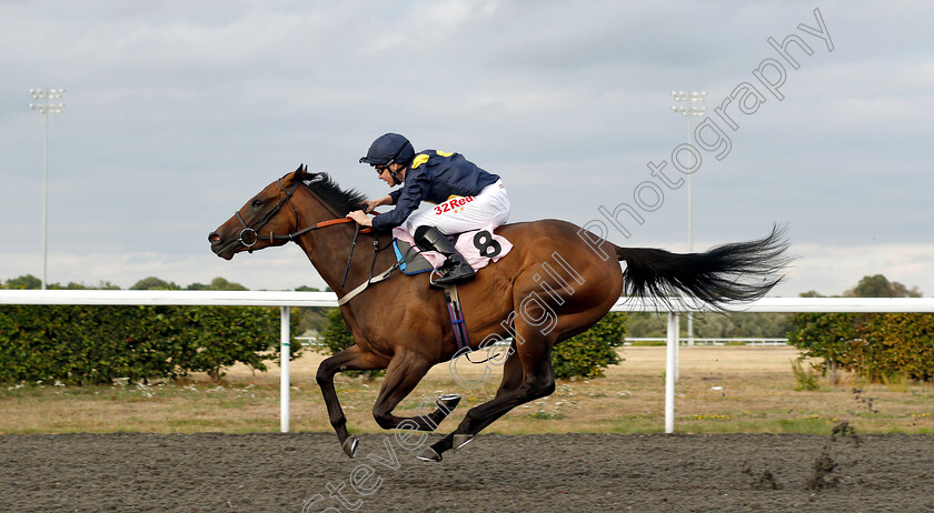 Jumeirah-Street-0005 
 JUMEIRAH STREET (Jamie Spencer) wins The Breeders Backing Racing EBF Fillies Novice Stakes Div1
Kempton 15 Aug 2018 - Pic Steven Cargill / Racingfotos.com