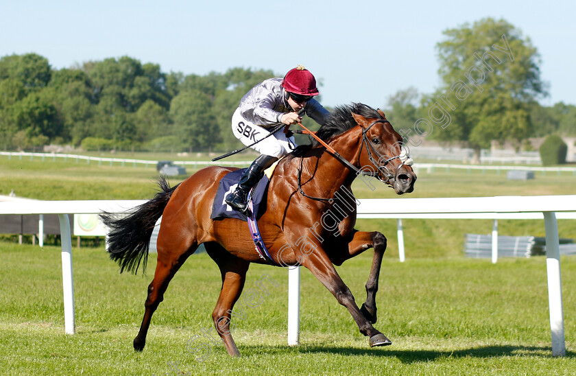 Balhambar-0003 
 BALHAMBAR (Richard Kingscote) wins The Cazoo Maiden Stakes Div2
Chepstow 27 May 2022 - Pic Steven Cargill / Racingfotos.com