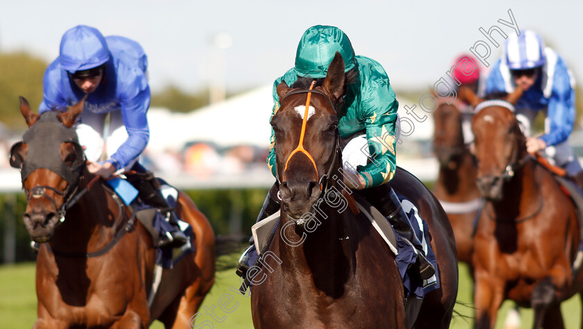 Euginio-0002 
 EUGINIO (Ryan Moore) wins The William Hill Leading Racecourse Bookmaker Conditions Stakes
Doncaster 12 Sep 2018 - Pic Steven Cargill / Racingfotos.com