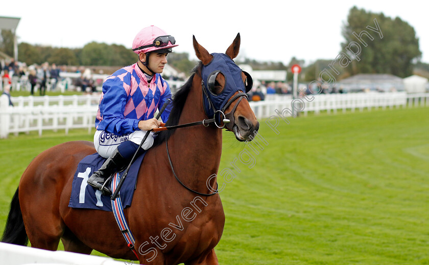 Beach-Kitty-0001 
 BEACH KITTY (Marco Ghiani)
Yarmouth 16 Oct 2023 - Pic Steven Cargill / Racingfotos.com