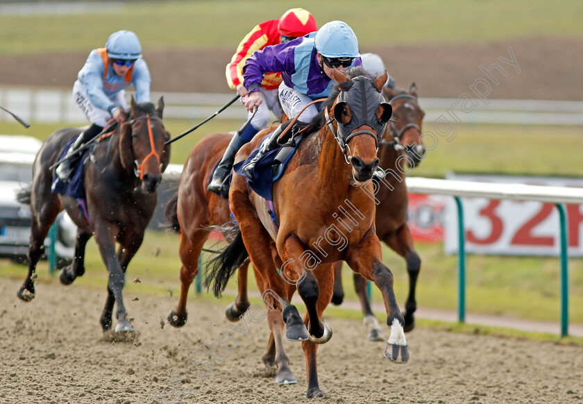 City-Gent-0003 
 CITY GENT (Oisin Murphy) wins The 32Red.com Nursery Lingfield 30 Dec 2017 - Pic Steven Cargill / Racingfotos.com