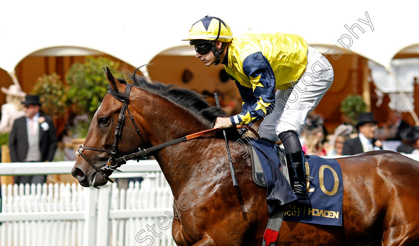 Kamboo-0001 
 KAMBOO (Richard Kingscote)
Royal Ascot 20 Jun 2024 - Pic Steven Cargill / Racingfotos.com