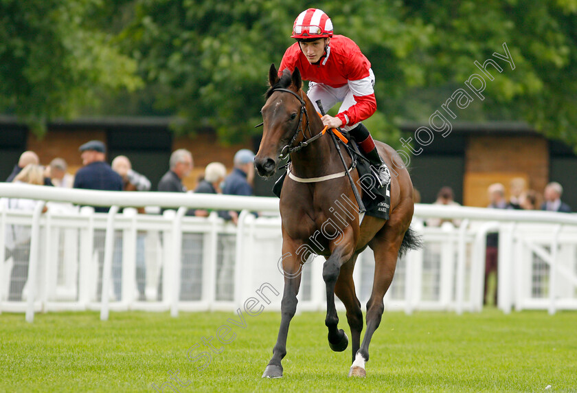 Delmona-0001 
 DELMONA (David Egan)
Salisbury 2 Sep 2021 - Pic Steven Cargill / Racingfotos.com