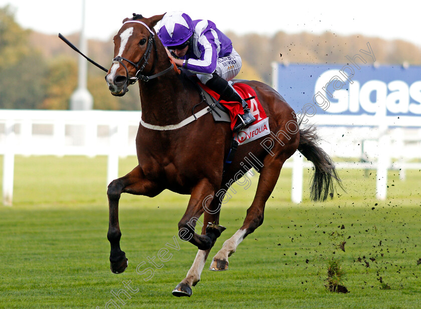 Shady-McCoy-0003 
 SHADY MCCOY (Ryan Moore) wins The Veolia Handicap Ascot 6 Oct 2017 - Pic Steven Cargill / Racingfotos.com