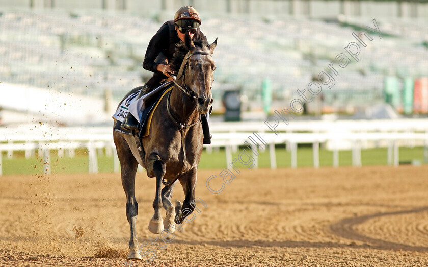 Zagrey-0001 
 ZAGREY training for the Sheema Classic
Meydan, Dubai, 22 Mar 2023 - Pic Steven Cargill / Racingfotos.com